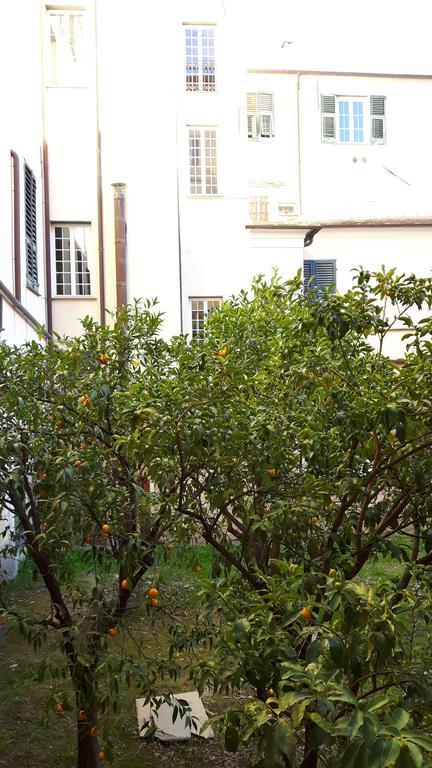 Torre Cepollini Hotel Albenga Ngoại thất bức ảnh